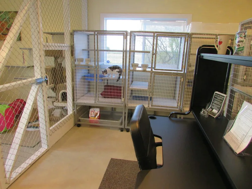 Just Cats! Kennel - Alberta pet otel görseli 2