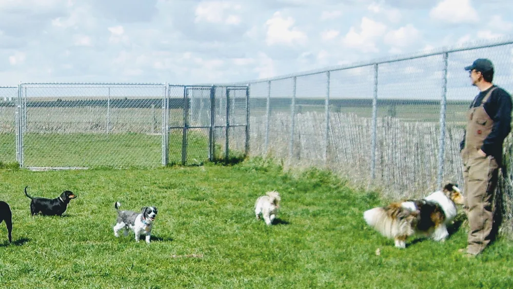 Kelly's Kountry Kennels - Alberta pet otel