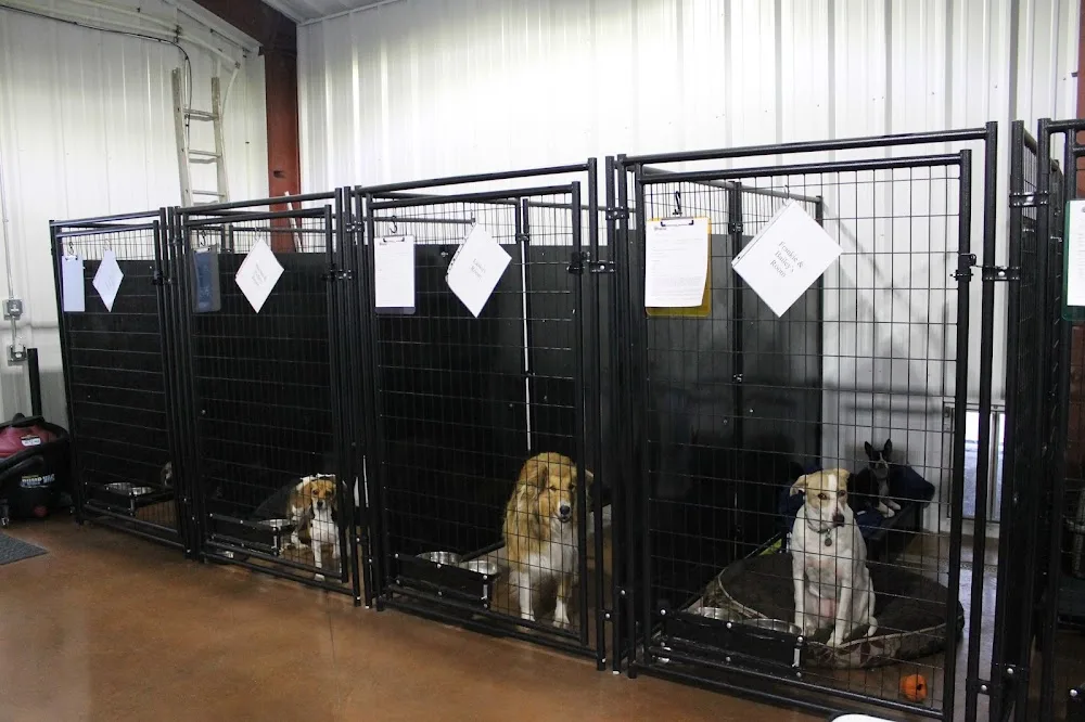 Northstar Kennels - Alberta pet otel