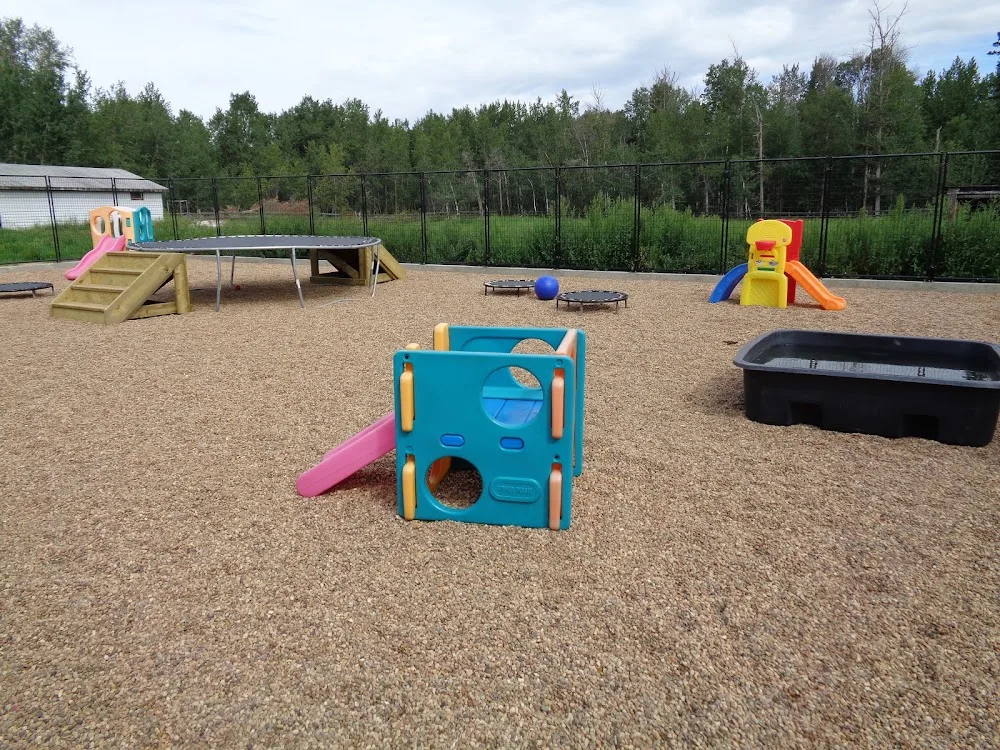 Northstar Kennels - Alberta pet otel görseli 7
