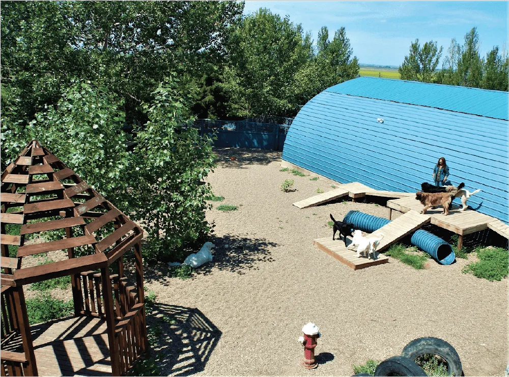 Paradise Kennels - Alberta pet otel görseli 3