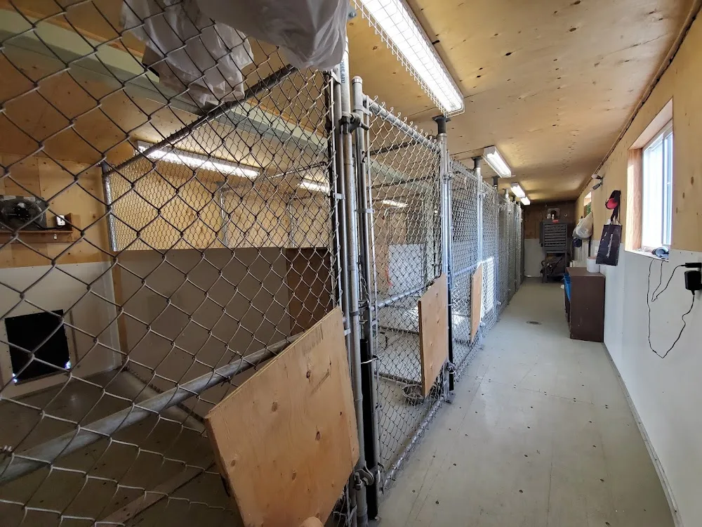 Paws and Claws Boarding Ltd. - Alberta pet otel