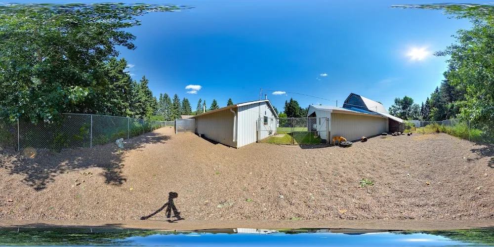 Sturgeon County Kennels - Alberta pet otel görseli 16