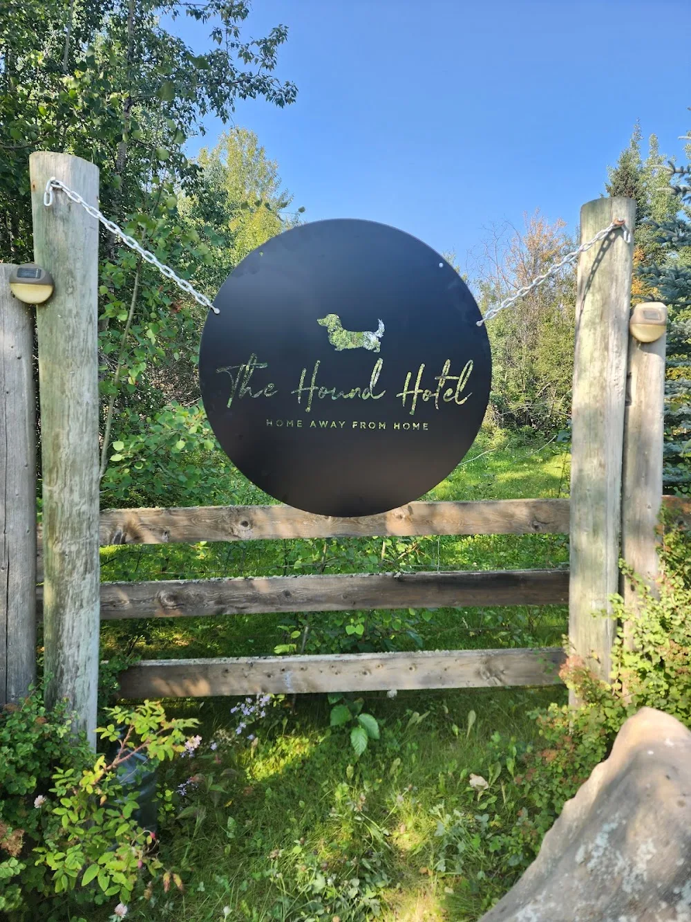 The Hound Hotel - Alberta pet otel