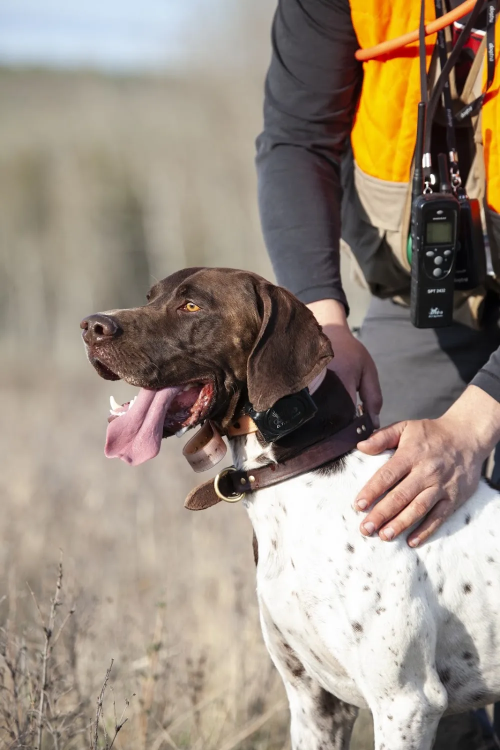 Westrock Kennels - Alberta pet otel