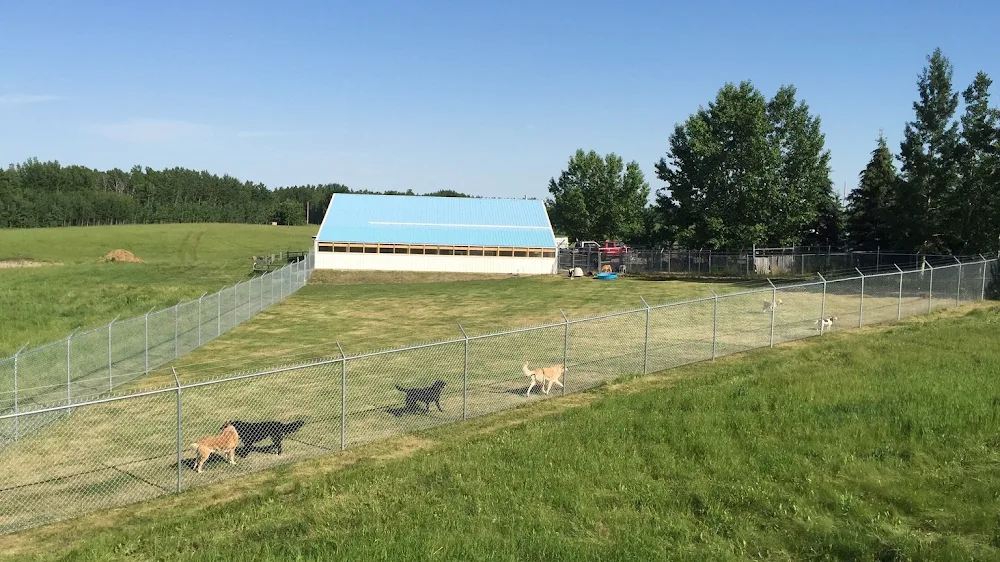 Wolfies Pet Resort - Alberta pet otel