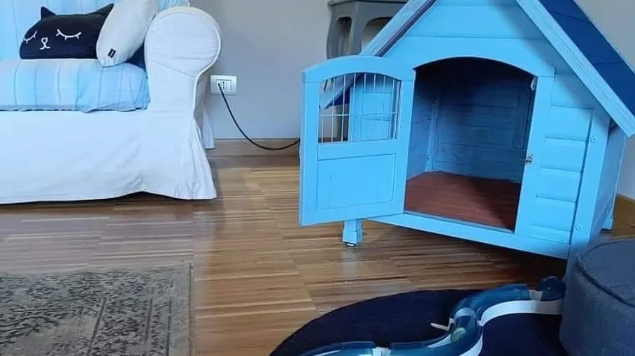AlberGatto - Alessandria pet otel