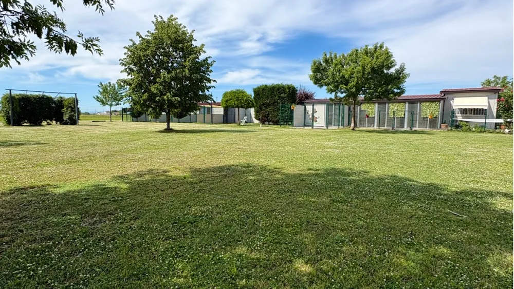 Pensione Per Cani Della Punta - Alessandria pet otel