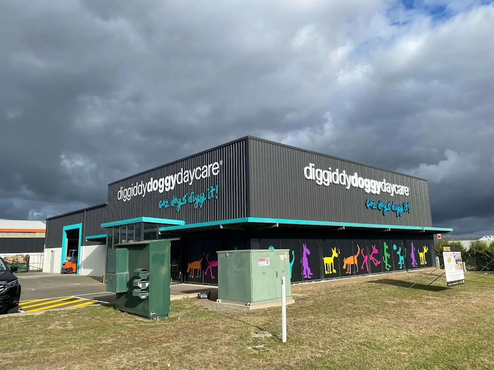Ballarat Diggiddy Doggy Daycare - Alfredton pet otel görseli 6