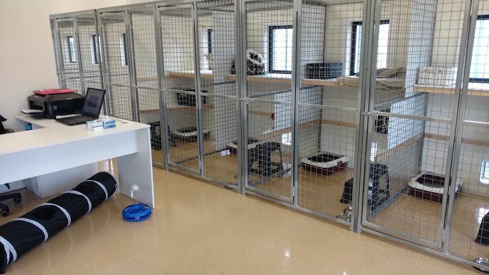Karingal Cattery - Alfredton pet otel görseli 2
