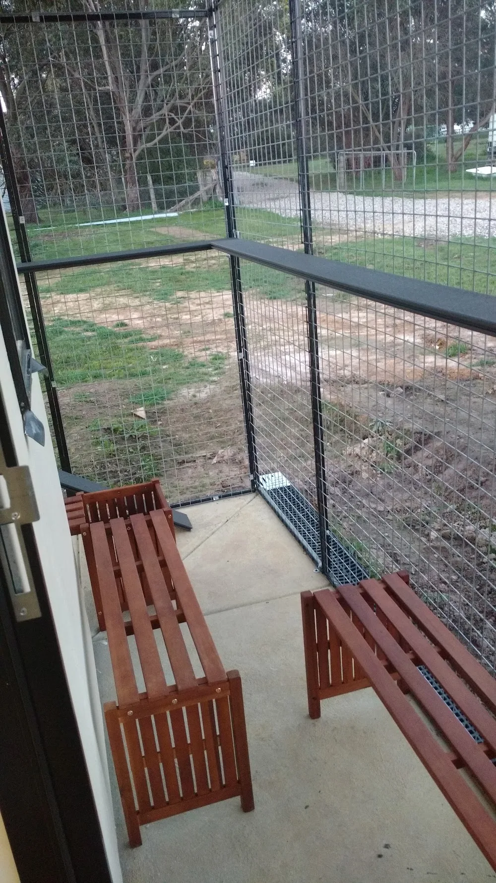 Karingal Cattery - Alfredton pet otel görseli 3