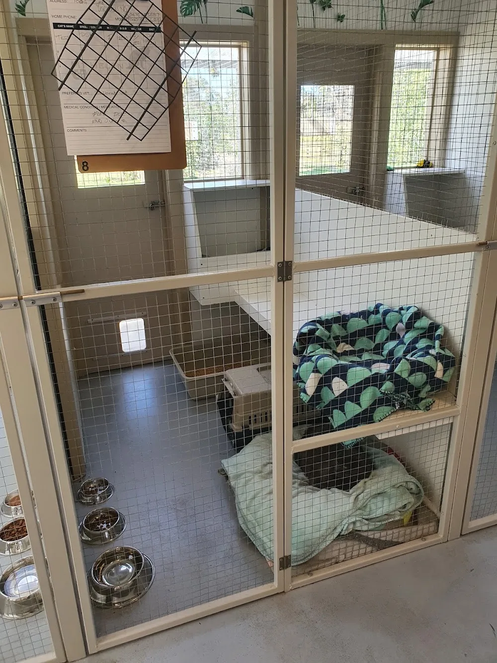 Mt Helen Cattery - Alfredton pet otel görseli 2