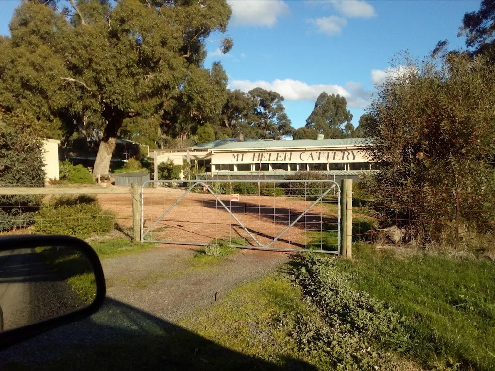 Mt Helen Cattery - Alfredton pet otel görseli 3