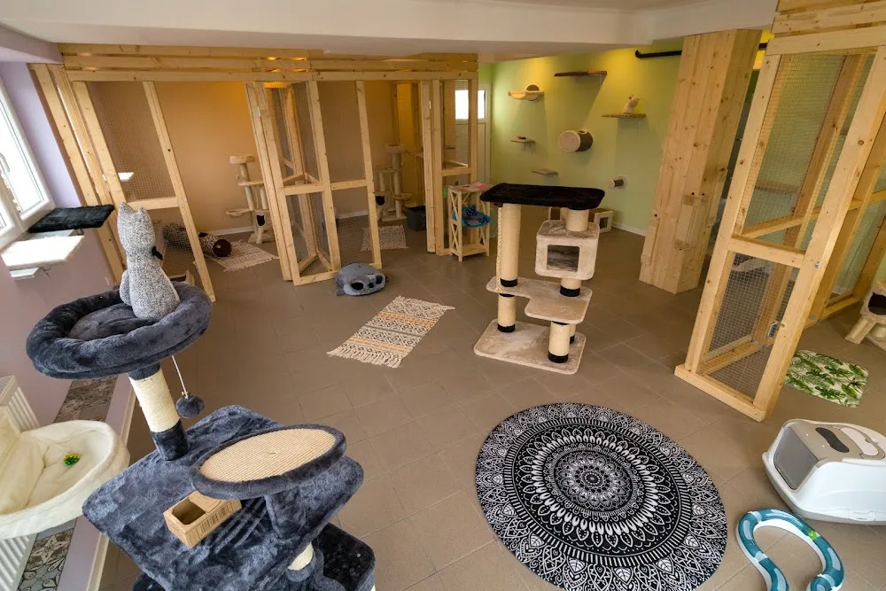 Katzenpension Wohlfelloase - Alfter pet otel görseli 3