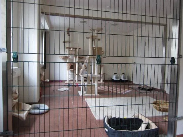Katzenpension - Alfter pet otel görseli 3