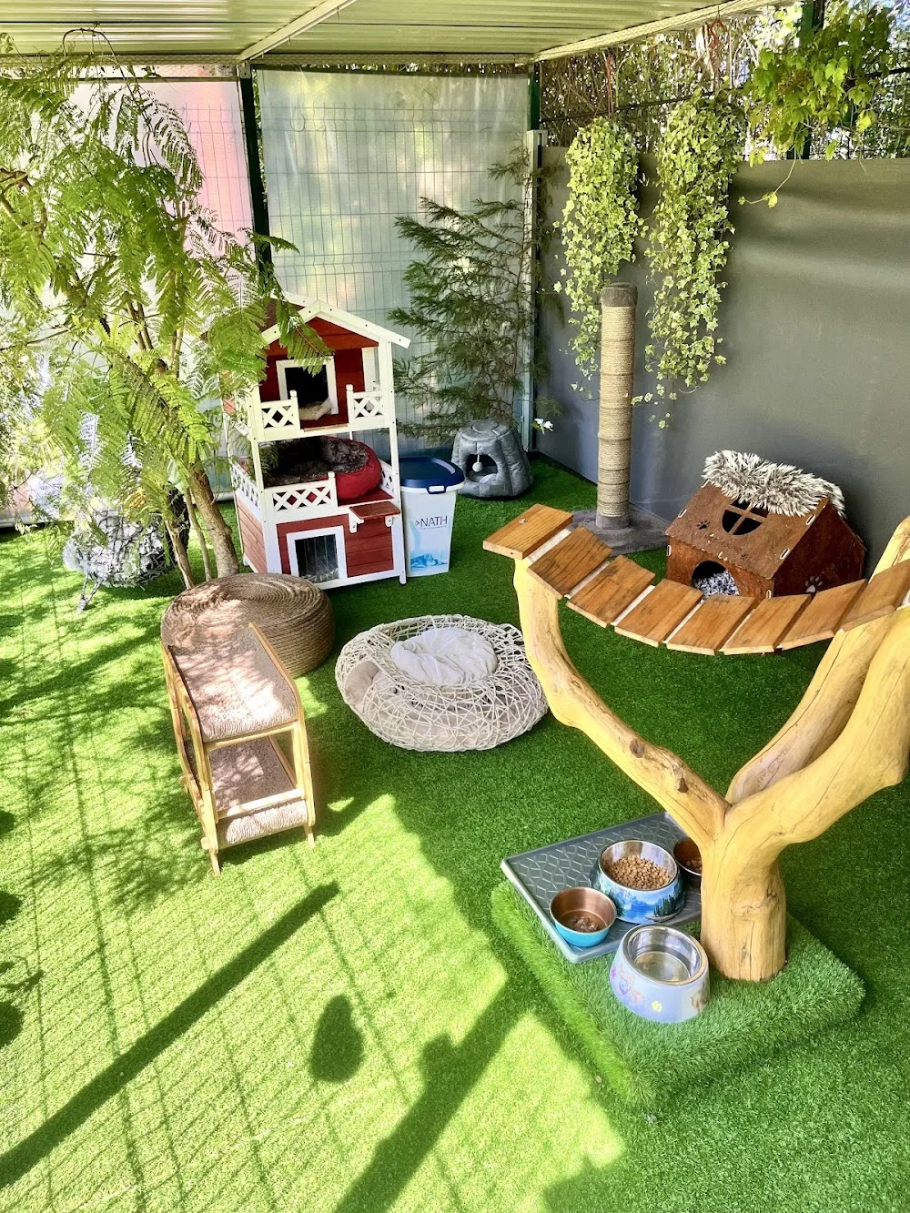 Aristocats - Cat Hotel - Algarve pet otel