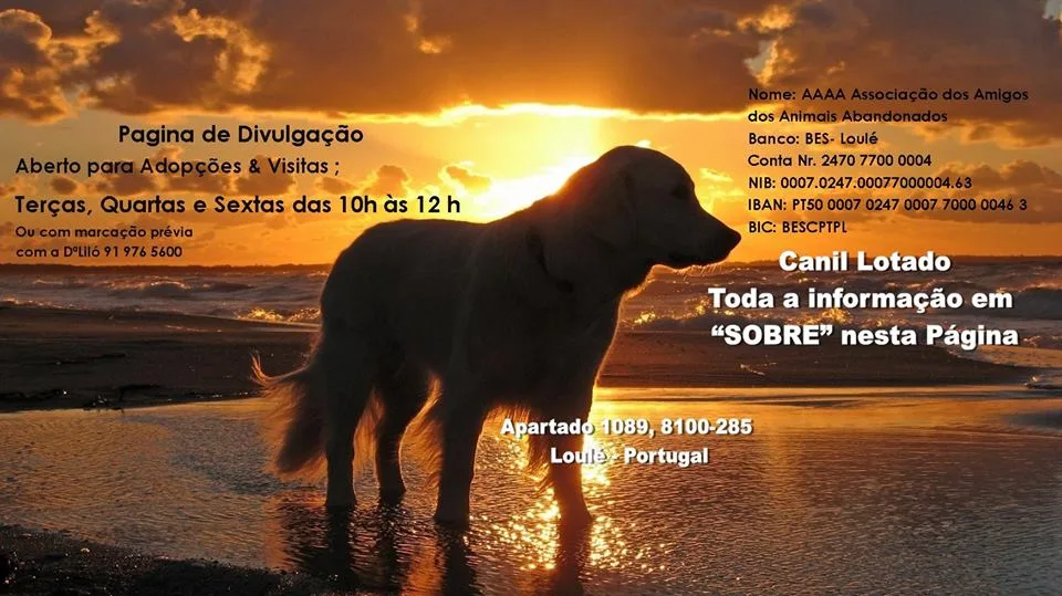 Canil de São Francisco de Assis - Associação dos Amigos dos Animais Abandonados (AAAA) - Algarve pet otel