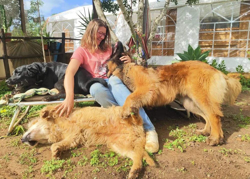 Elo's Dogs - Happiness at Home - Algarve pet otel