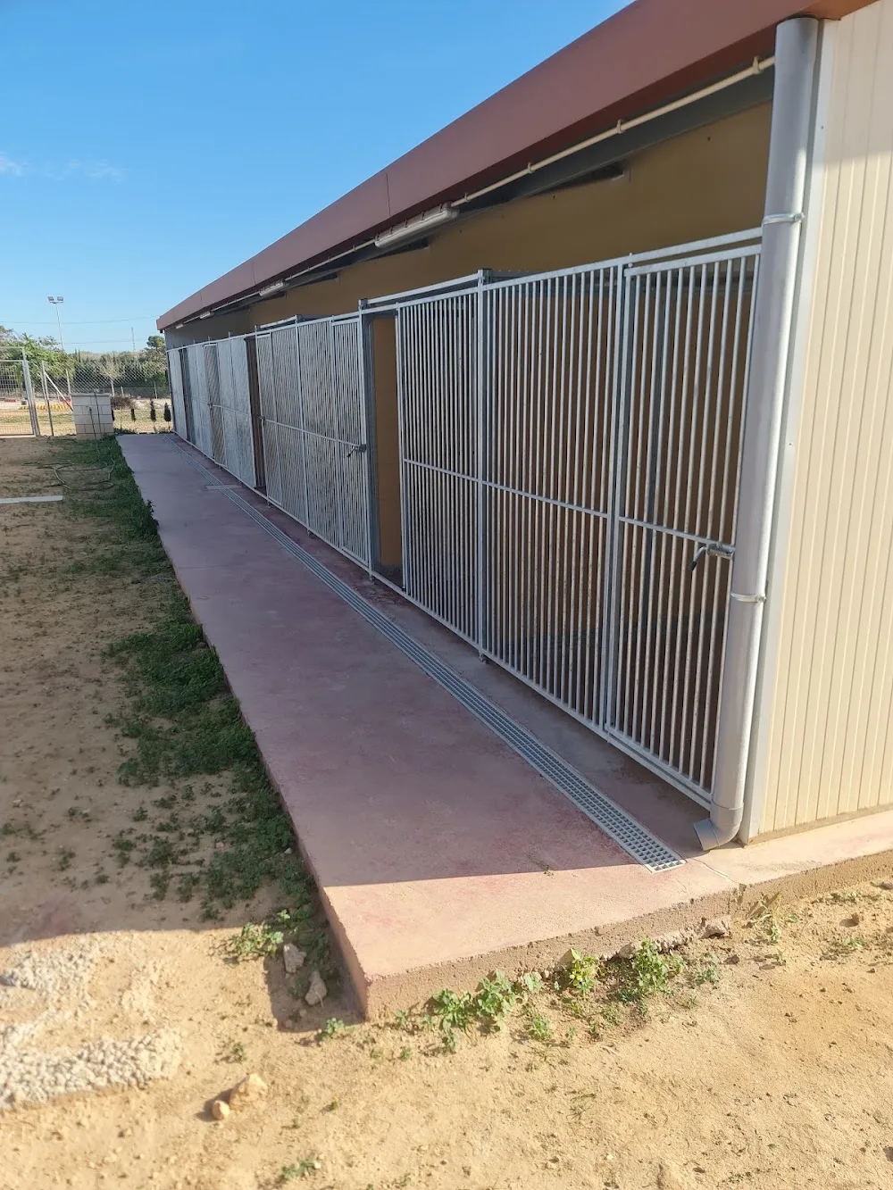 Dirty and Happy. Centro canino - Alicante pet otel