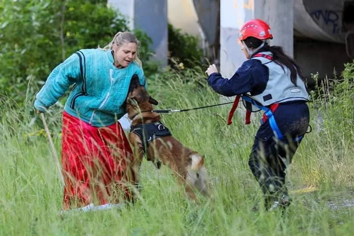 ELSKU HUNDUR - Allier pet otel