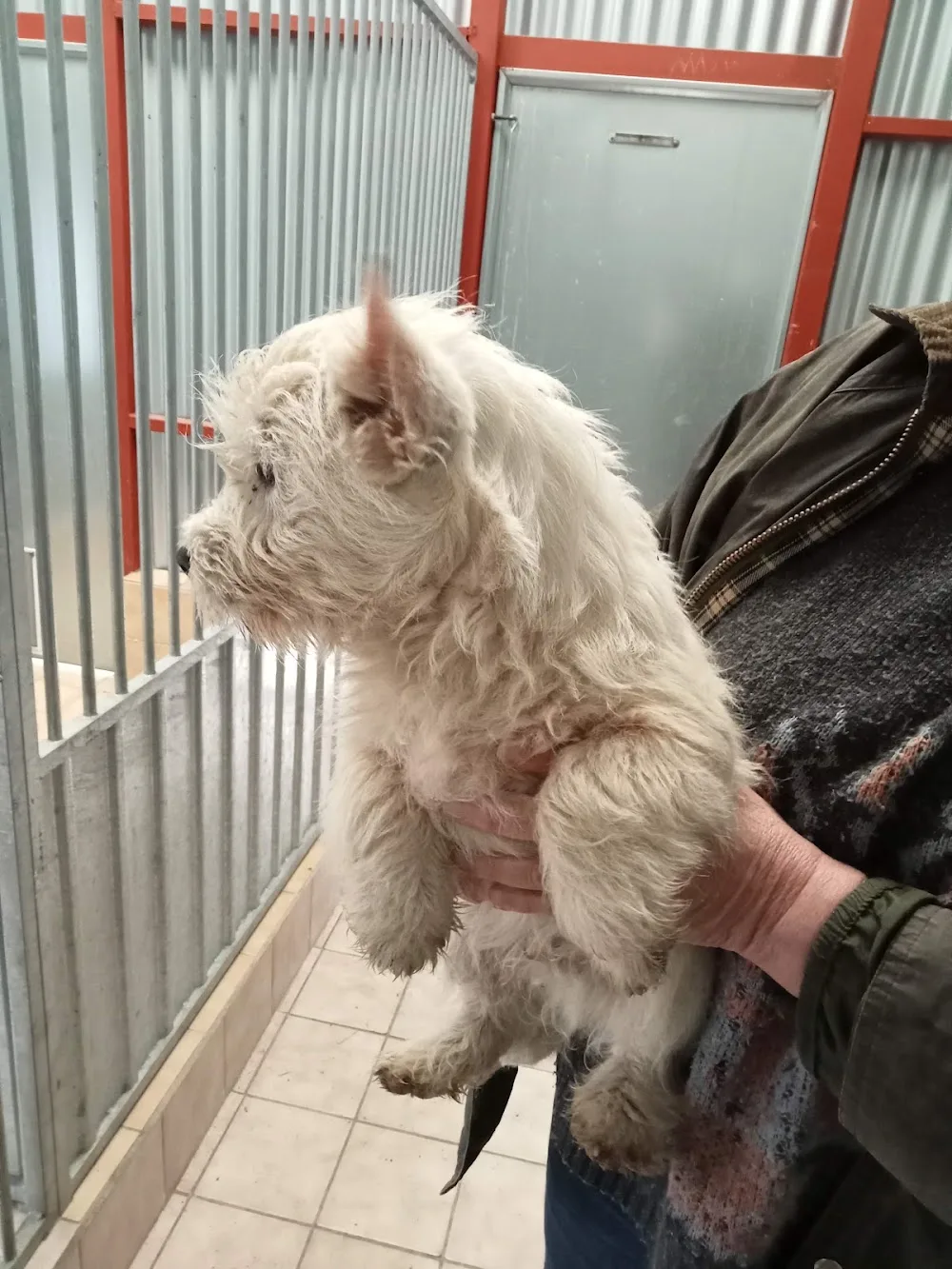 Étang des Chalands - Allier pet otel görseli 3