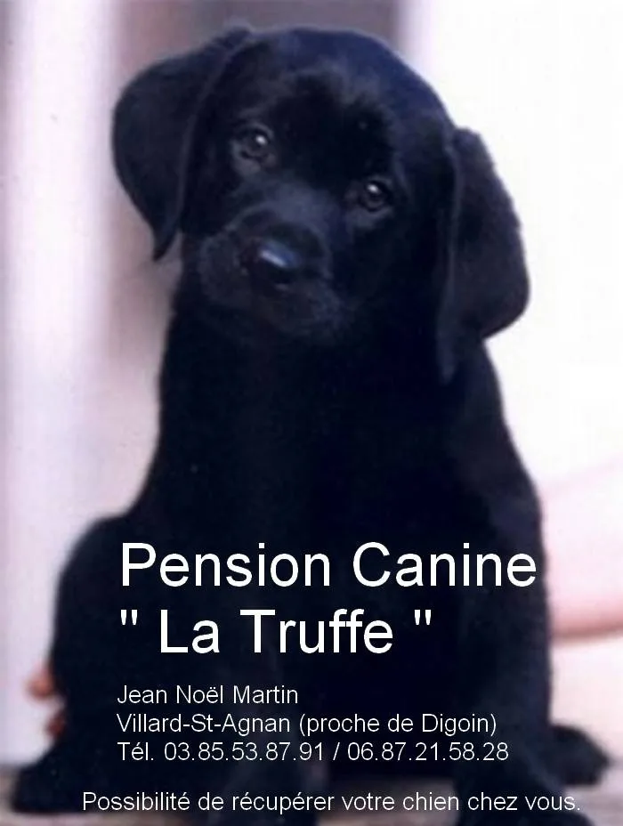 Pension Canine La Truffe - Allier pet otel görseli 2