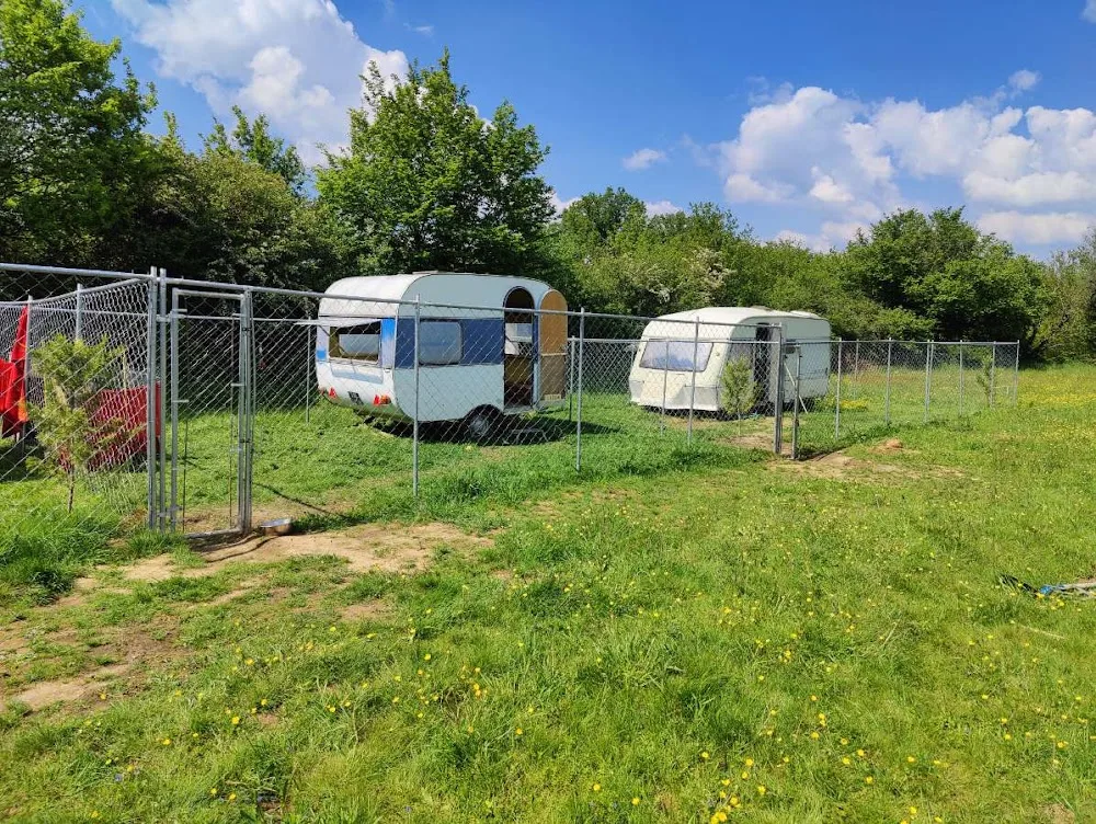 Pension et élevage des esprits de la forêt - Allier pet otel görseli 3
