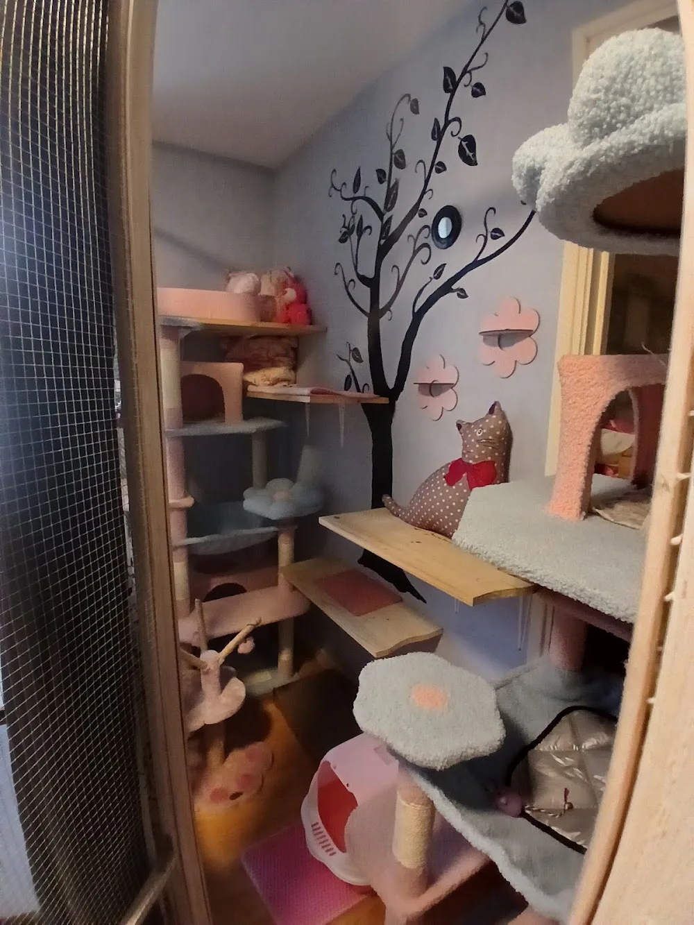 Pension pour chats Lise & Cat's - Allier pet otel