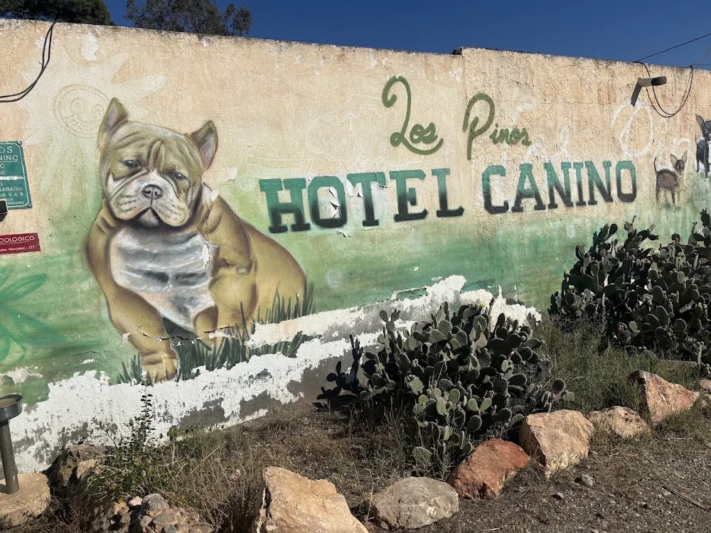Hotel canino Los Pinos - Almeria pet otel görseli 3