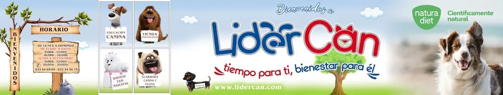 LiderCan - Almeria pet otel