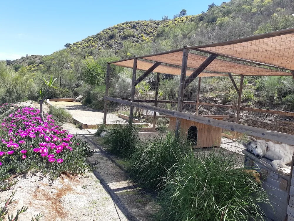Residencia Canina Leco - Kennels Boarding Cantoria - Almeria pet otel