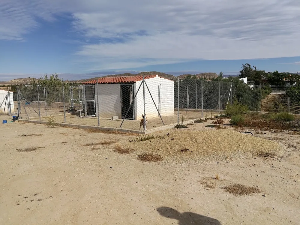 Residencia Canina Llanos de Rosa - Almeria pet otel görseli 3
