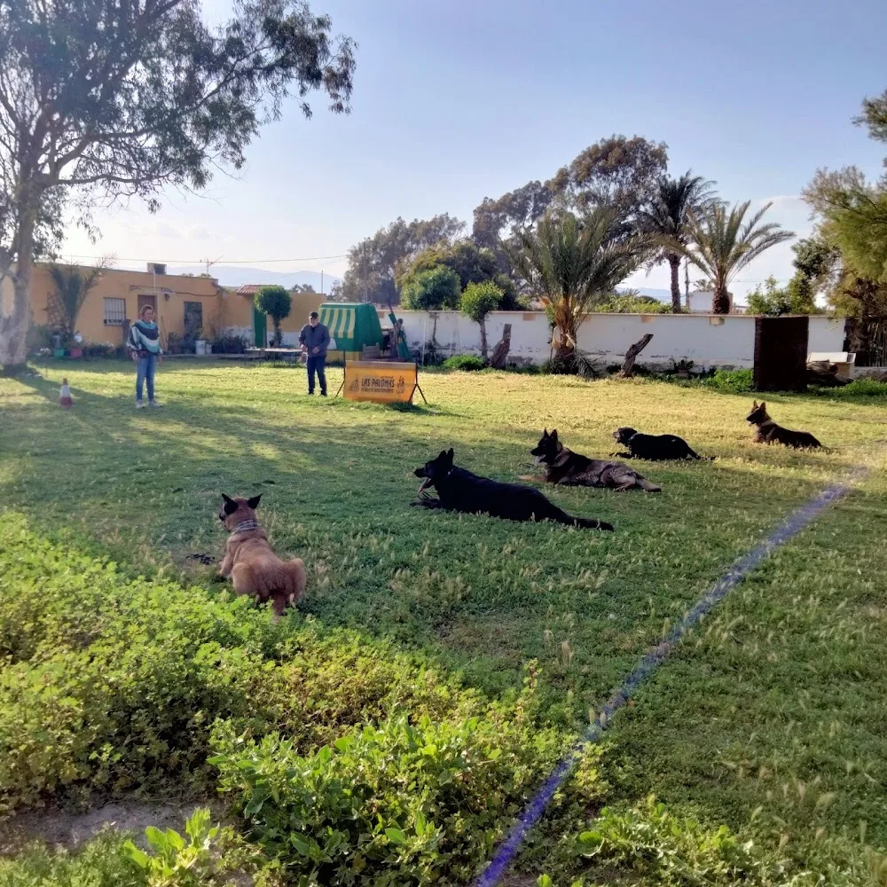 Residencia Canina y Felina y Escuela de adiestramiento LAS PALOMAS - Almeria pet otel görseli 3