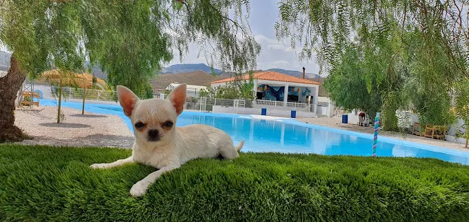 Resort Canino Didugal - Almeria pet otel
