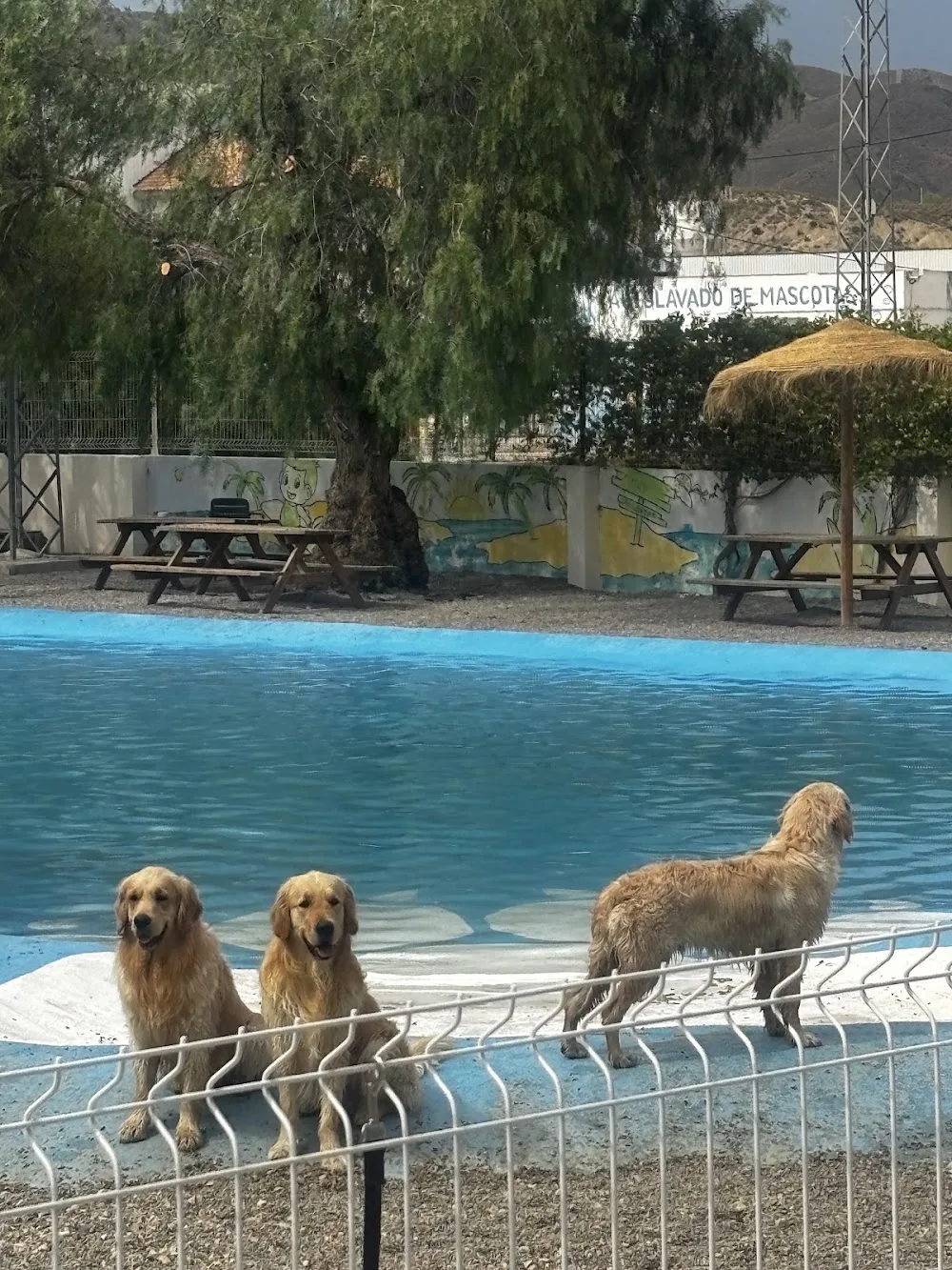 Resort Canino Didugal - Almeria pet otel görseli 3