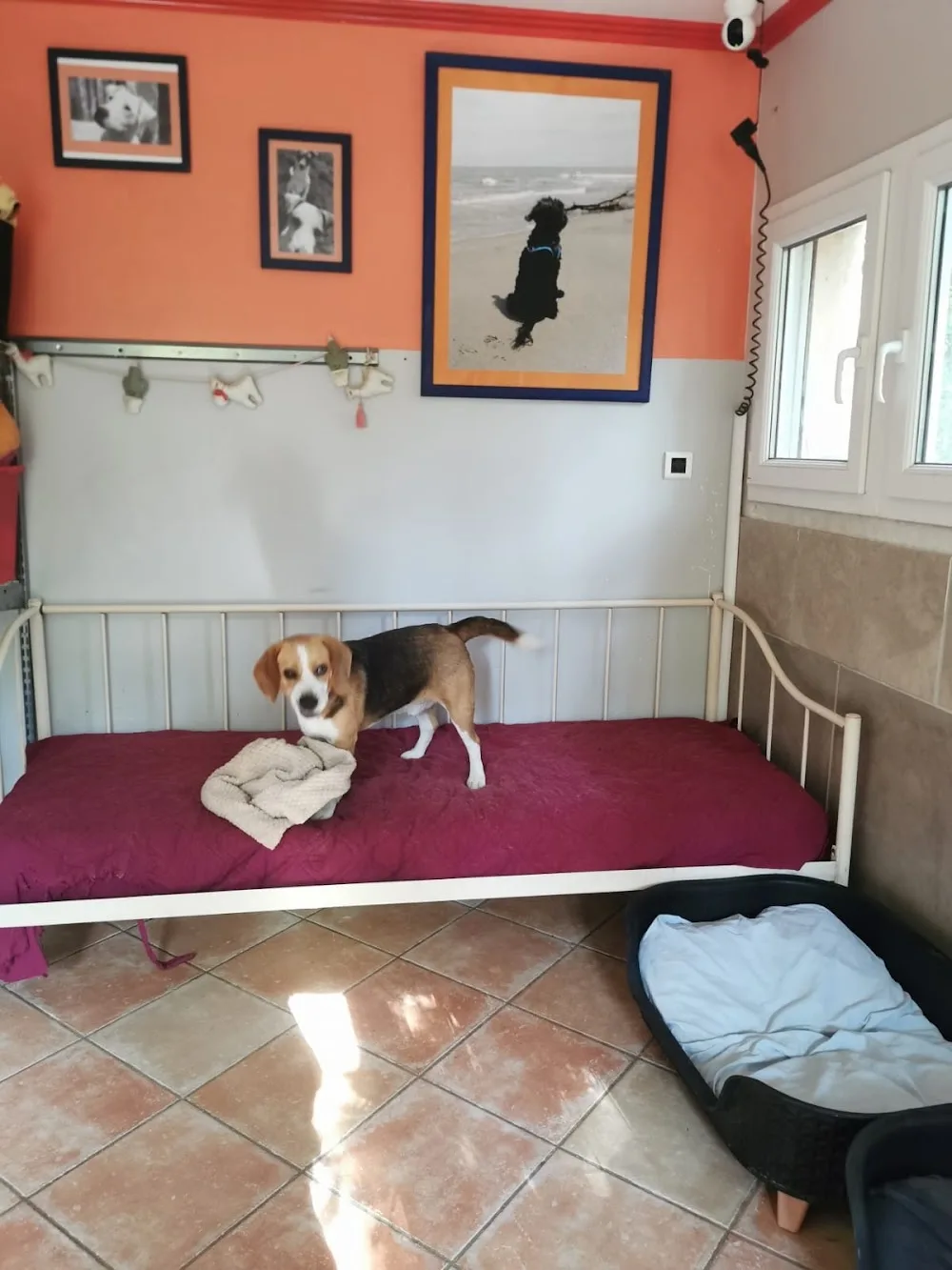 aniway - Alpes-de-Haute-Provence pet otel görseli 3