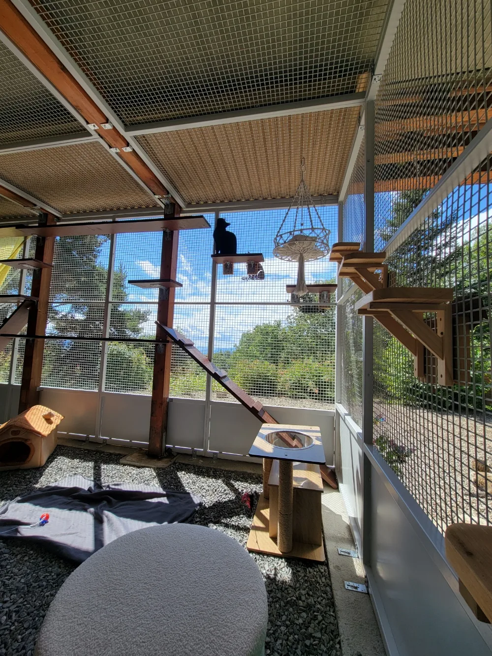 Au Repaire des Matous - Alpes-de-Haute-Provence pet otel görseli 2