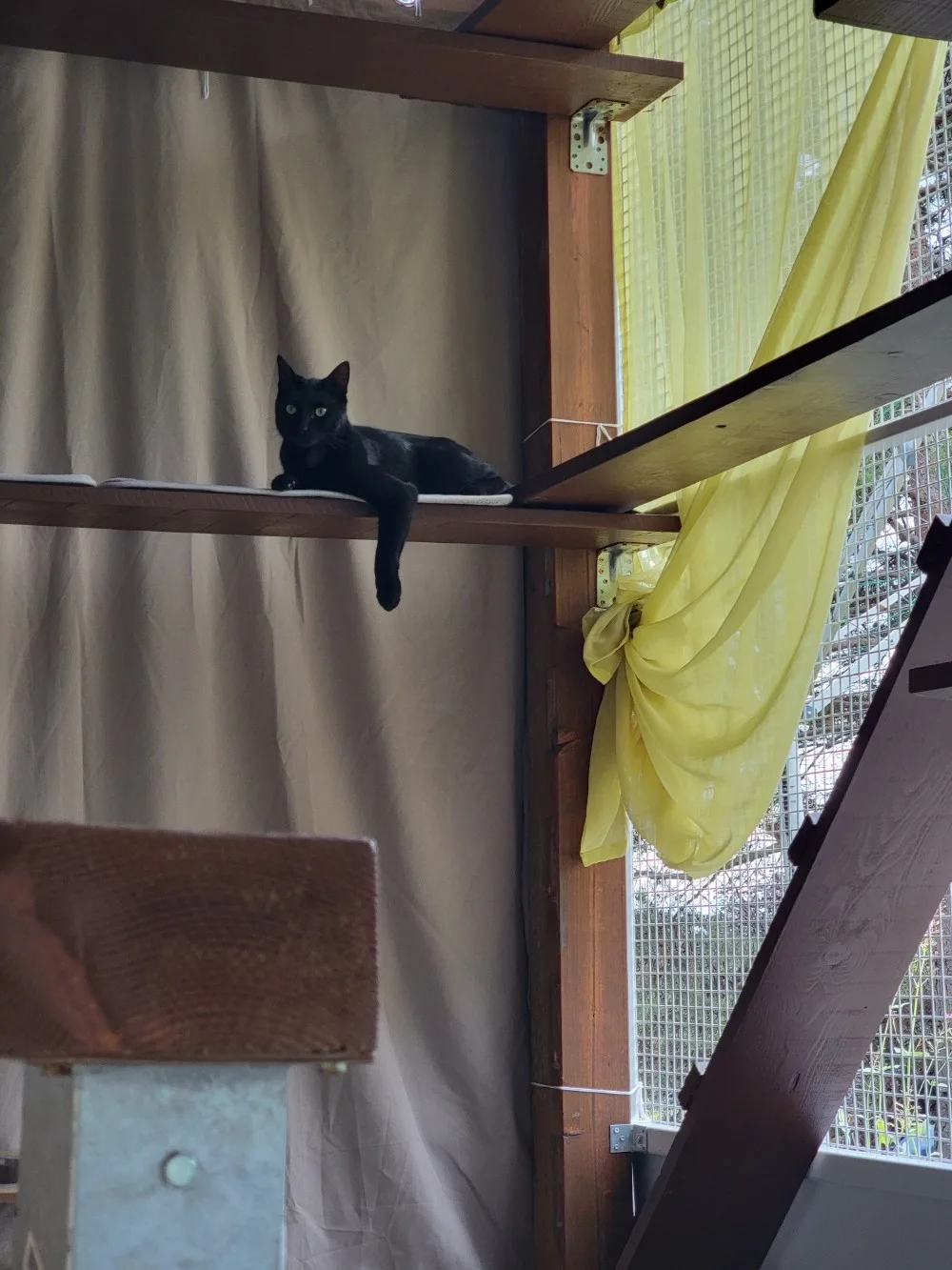 Au Repaire des Matous - Alpes-de-Haute-Provence pet otel görseli 3