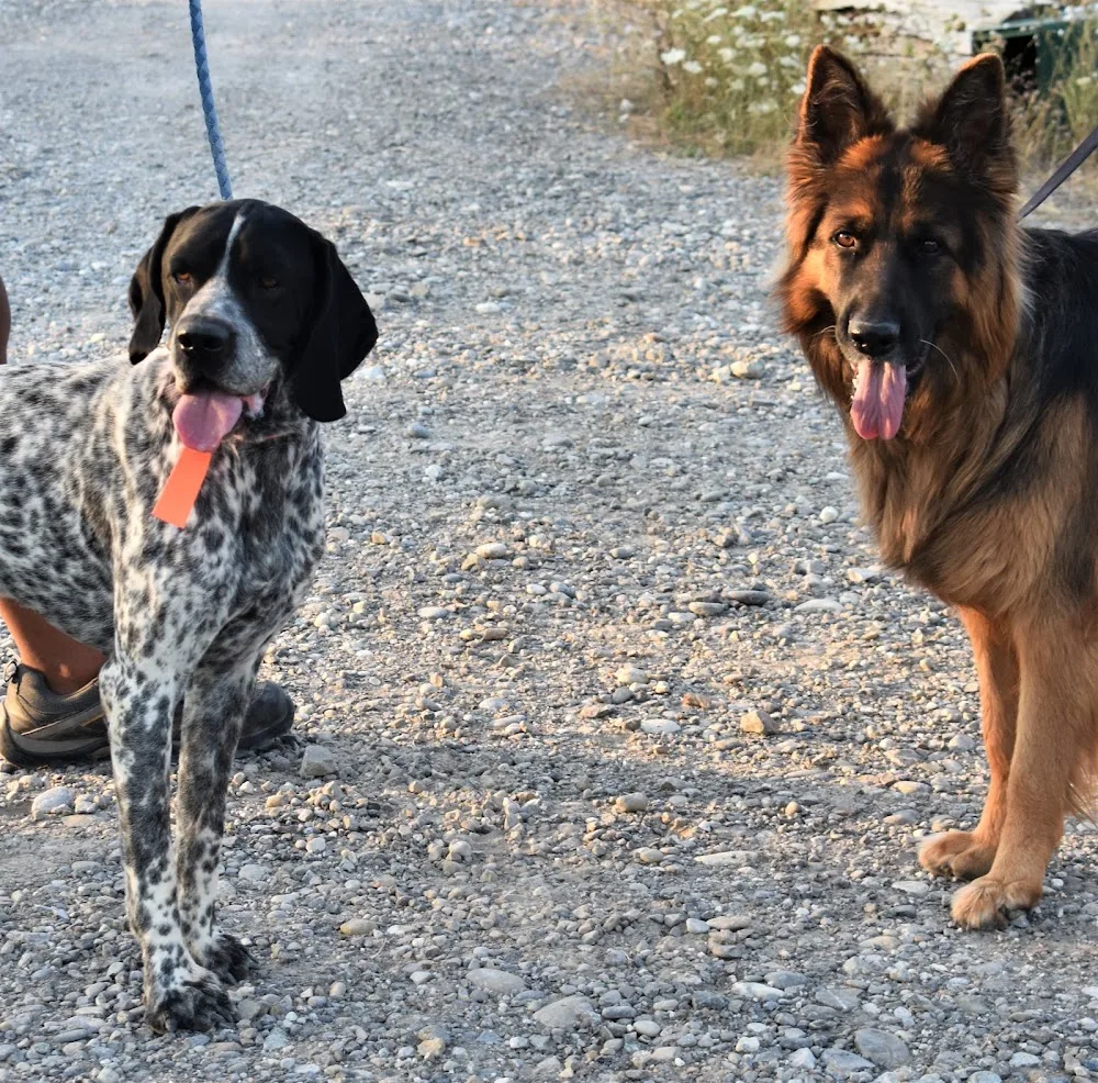 Caldeira de la Madone - Alpes-de-Haute-Provence pet otel görseli 3