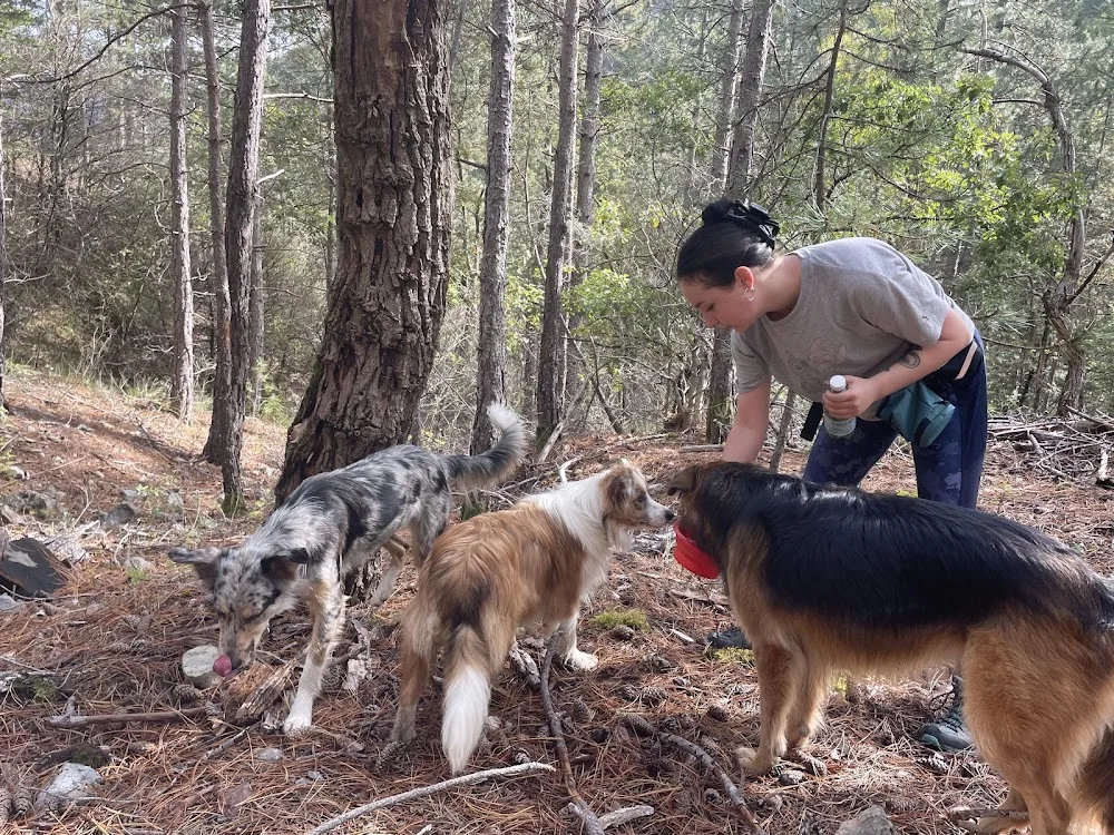 Cani Walk - Alpes-de-Haute-Provence pet otel