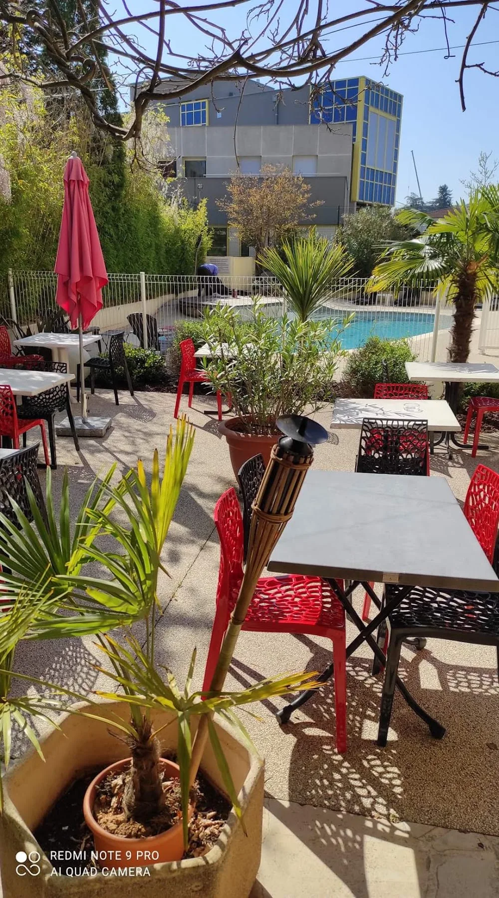 Cat Hôtel - Alpes-de-Haute-Provence pet otel görseli 12