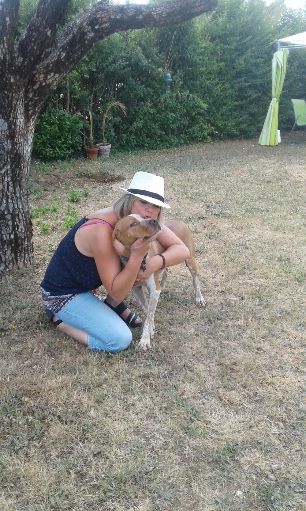 crèche canine 04 - Alpes-de-Haute-Provence pet otel görseli 2