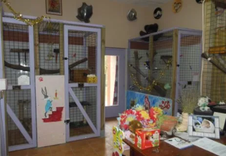 Pension Féline les Toons - Alpes-de-Haute-Provence pet otel
