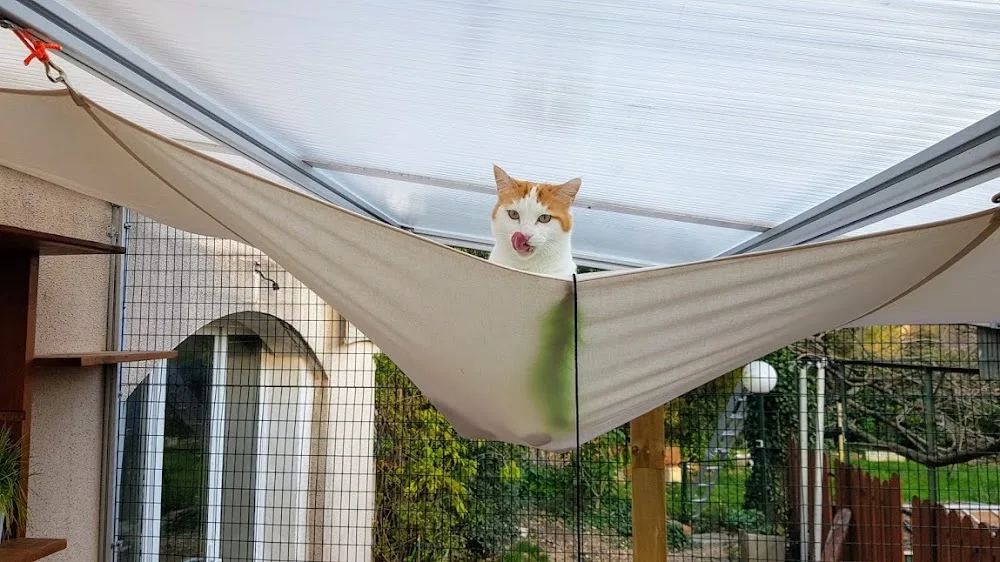 Pension pour chats Ti' Félins - Alpes-de-Haute-Provence pet otel