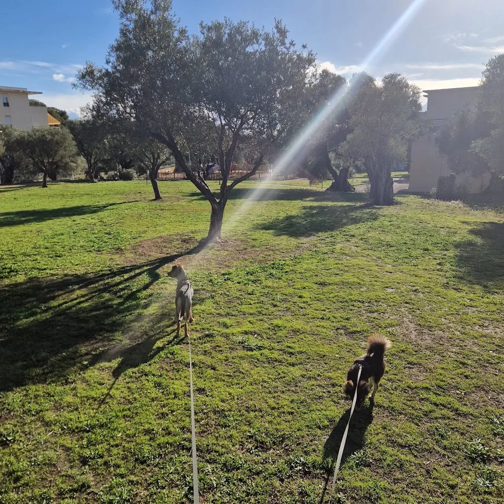 Antibes Dogz - Alpes-Maritimes pet otel