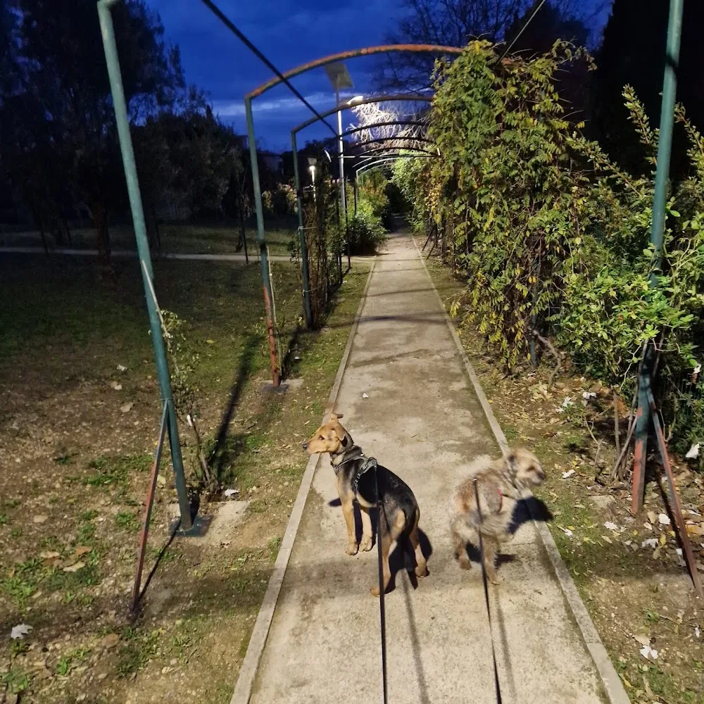 Antibes Dogz - Alpes-Maritimes pet otel görseli 3