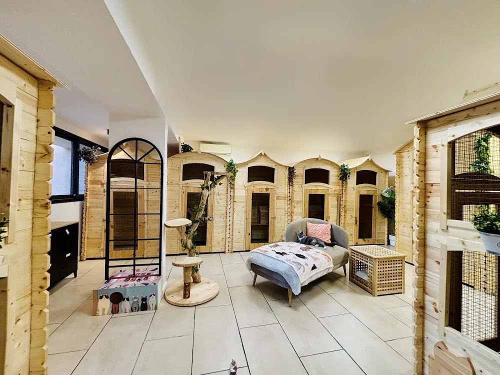 Cat Lodge Hôtel - Alpes-Maritimes pet otel