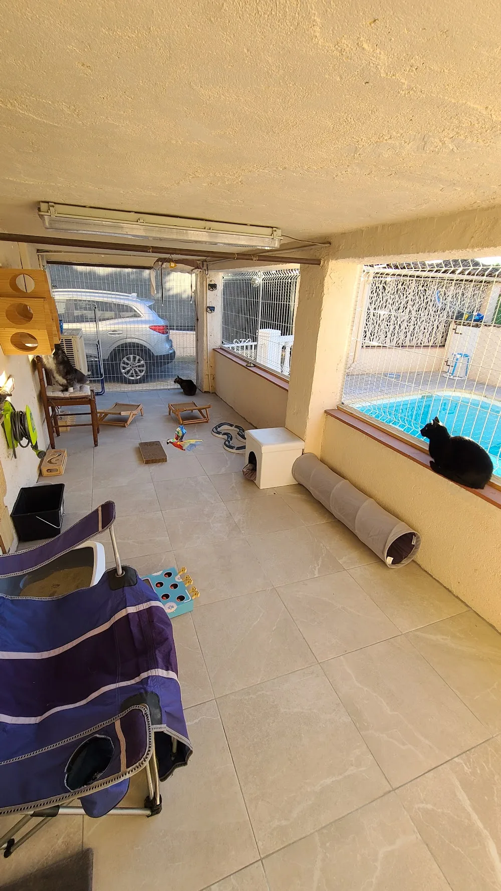 Chats perchés 06 / hôtel pour chats ANTIBES / pension pour chats / garde de chats / comportementaliste félin / reiki - Alpes-Maritimes pet otel görseli 3