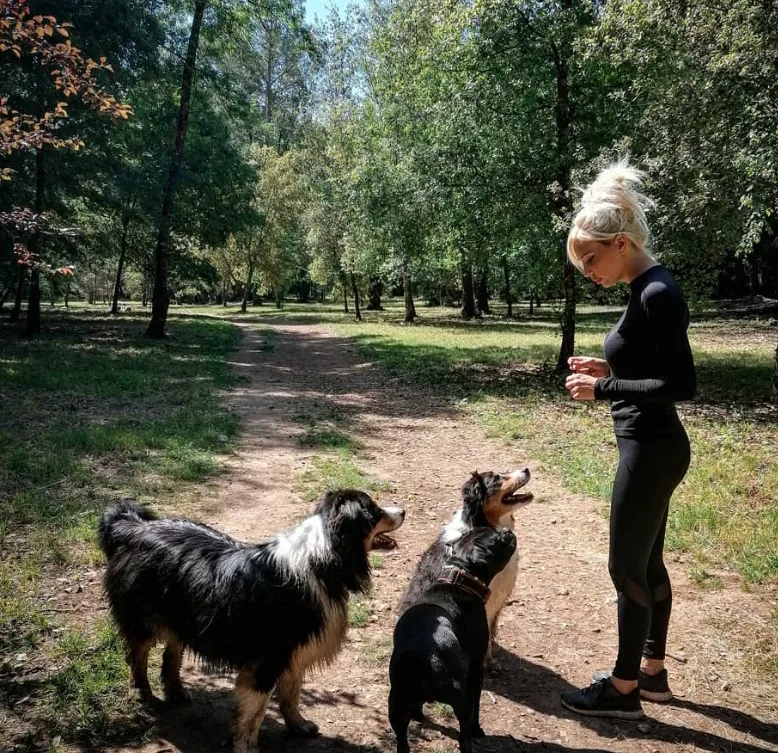 Dog Garden: Garderie Canine & Education 06 Antibes Vallauris Sophia Antipolis - Alpes-Maritimes pet otel
