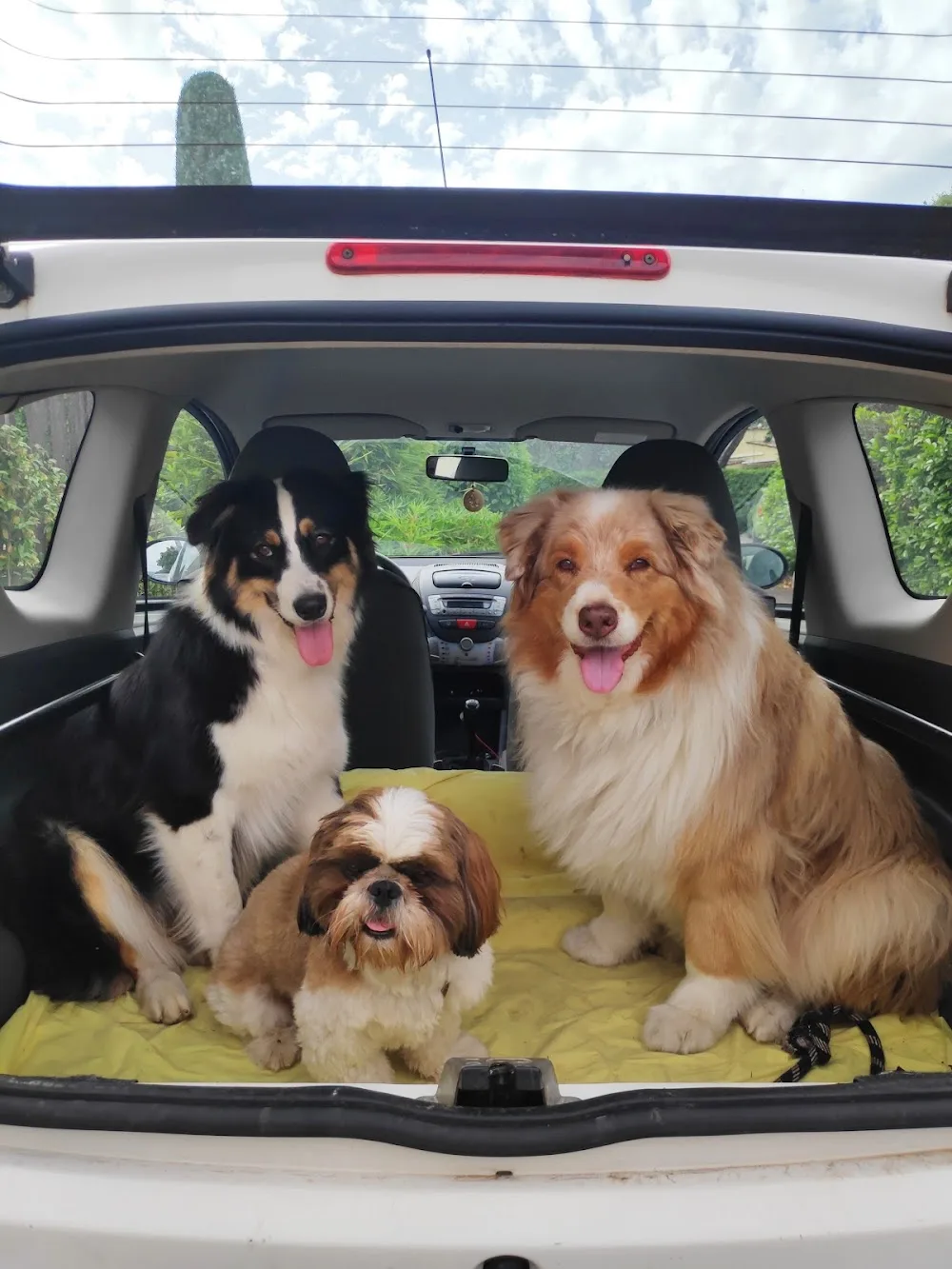 Happytoutous - Alpes-Maritimes pet otel